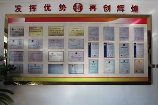 山東樂化 廢墟中站起來的漆業巨人